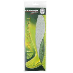 Limpiador ante calzado Plantilla Daily Chlorophyll Recortable