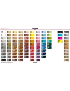 Tinte Reparador Cuero Tarrago Color Dye