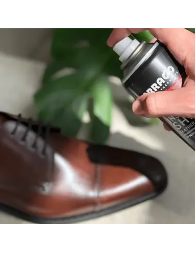 Tarrago Spray Brillo zapatos instantáneo 250ml