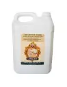 Decapante Fin de Obra LOUIS XIII 5L