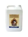 Decapante Desengordurante LOUIS XIII 5L