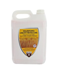 Xampu Encerador Parquet 5L
