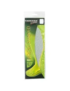 Plantilla Daily Fresh Striped